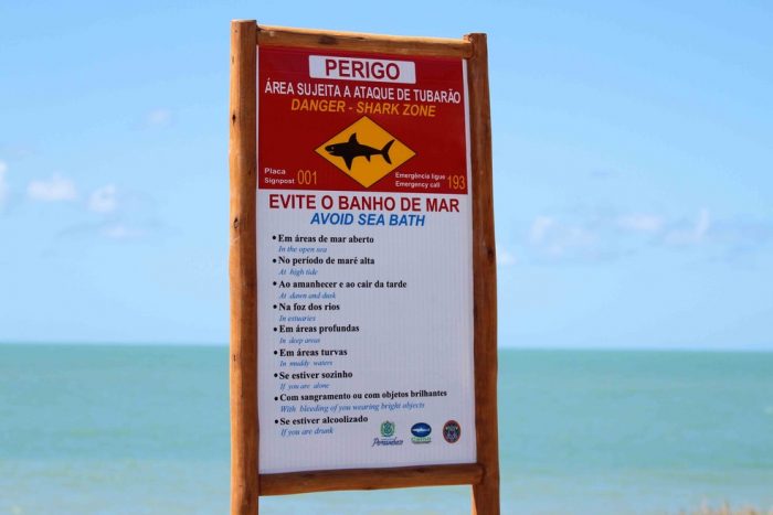 Praia com tubarões no Recife