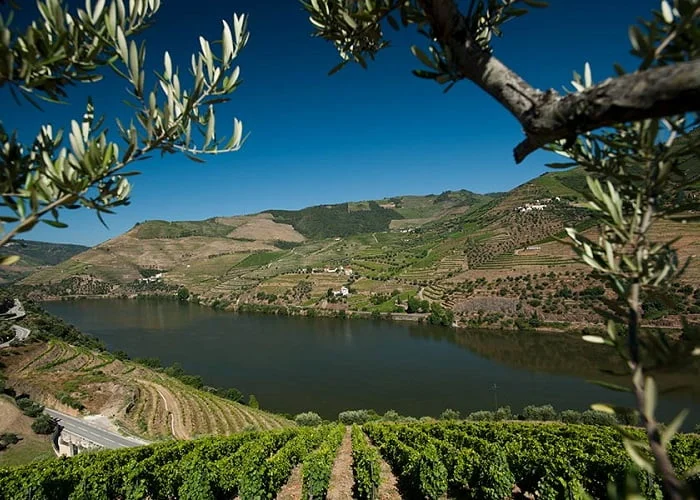 Sandeman, Quinta do Seixo, vinícola Portugal.