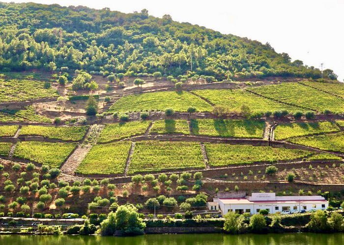 Quinta do Bomfim, vinícola de Portugal.