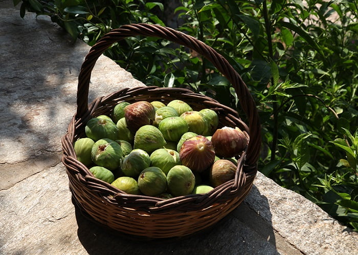O povo de Paros usa figos para fazer sua sobremesa mais popular, que é a Samota, um tipo de pastel.