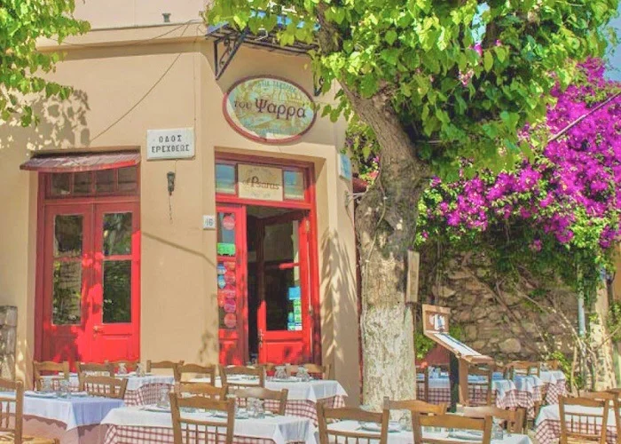 Salada grega, história. Taberna tradicional em Plaka.