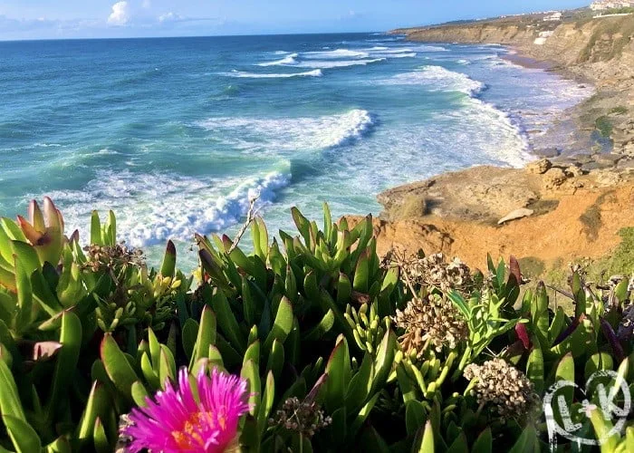 Ericeira Portugal.