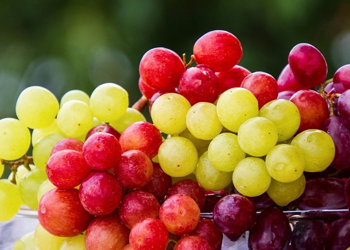 Comidas que trazem sorte para o ano novo: uvas.