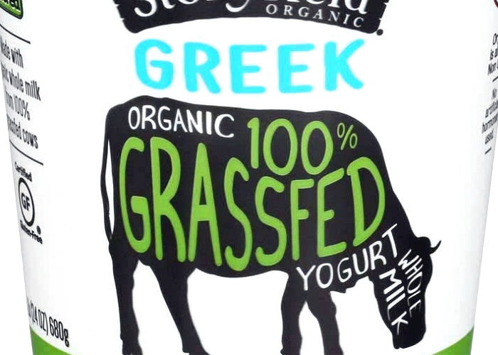 Como escolher o iogurte grego perfeito.