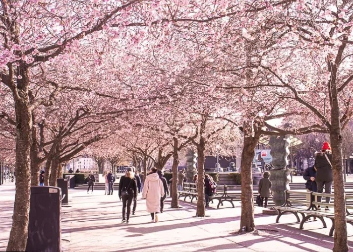 Estocolmo , o que fazer: Parque Kungsträdgården.