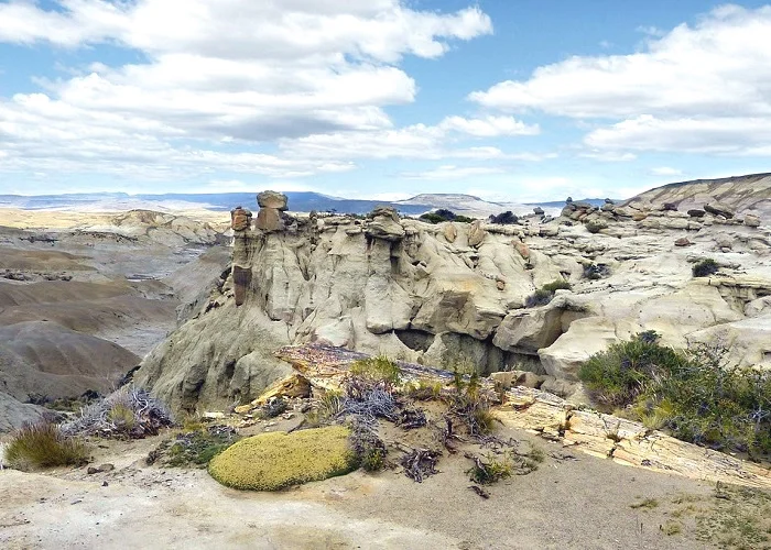 O que fazer em El Calafate: Floresta Petrificada La Leona.