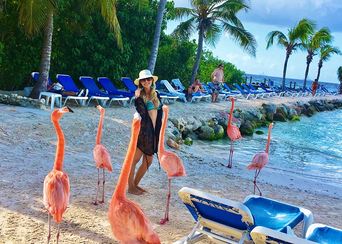 Praia dos Flamingos em Aruba.