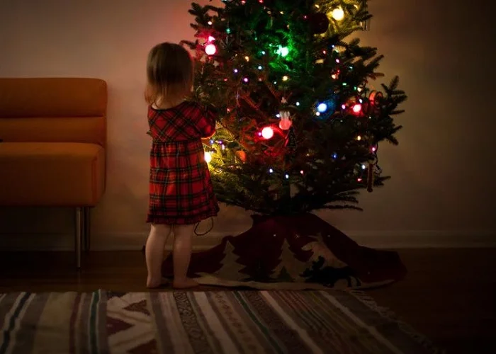 Lendas de Natal: Pinheiro de Natal.