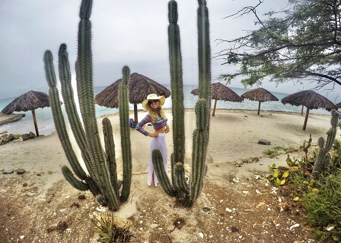 As melhores praias de Aruba: Malmok Beach,