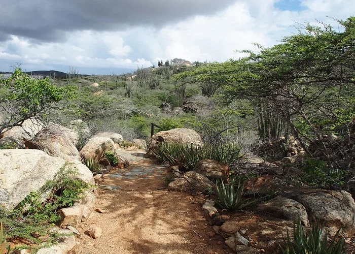 O que fazer em Aruba: Arikok National Park.