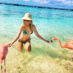 Praia Dos Flamingos: Conheça Mais Um Cartão Postal De Aruba!