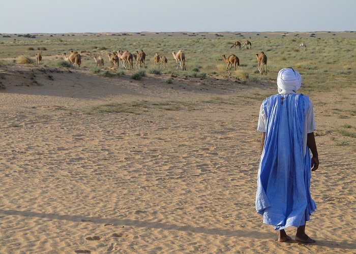 Curiosidades Mauritânia: Deserto.