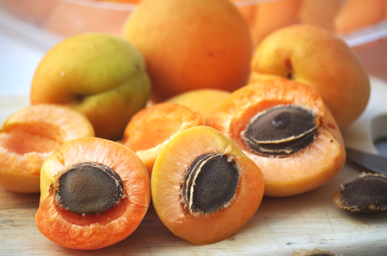 As frutas mais perigosas do mundo: semente de damasco.