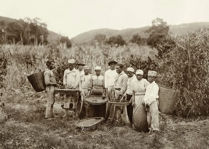 Tudo o que um estrangeiro deve saber sobre o Brasil.