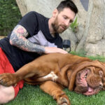 Tudo sobre o Cachorro do Messi: Descubra a Raça e Saiba Quanto Custa!