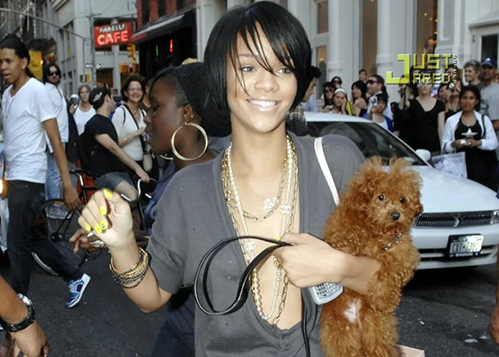 Cachorros das celebridades: rihanna.