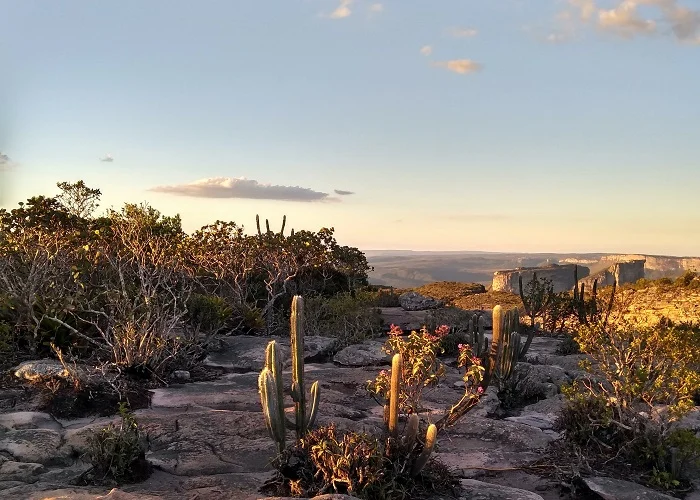 Lugares do Brasil mais bonitos: Chapadas das Mesas.