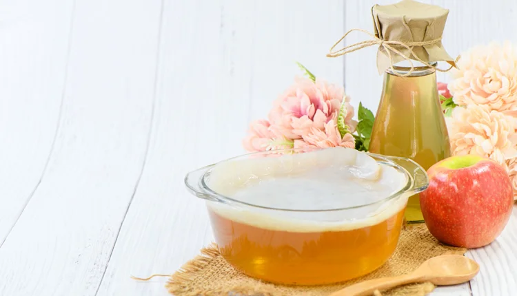 Como fazer Scoby de Kombucha do Zero? Confira!