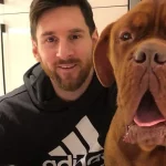 Qual a raça do cachorro do Messi? Conheça o pet do jogador e o seu preço!