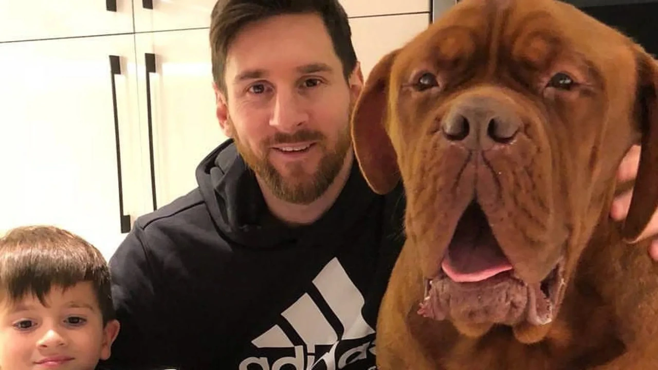 Raça do cachorro do Messi.