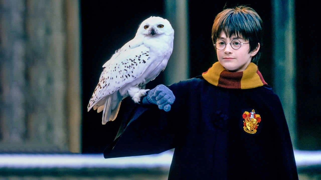 O livro é melhor? As 5 piores mudanças dos livros para os filmes de Harry Potter!