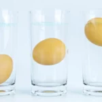Por que você deveria começar a colocar os ovos dentro de um copo d’água? Veja!