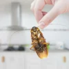 Como repelir baratas com cheiro natural?