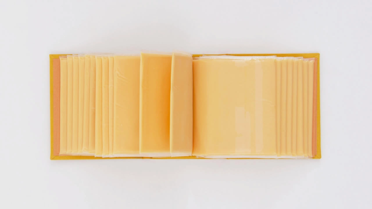 Livro feito de queijo.