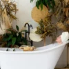 Plantas para banheiro de acordo com Feng Shui.