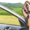 Mulher com sandália no carro.