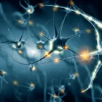 5 coisas que te fazem recuperar os neurônios e você nem imaginava