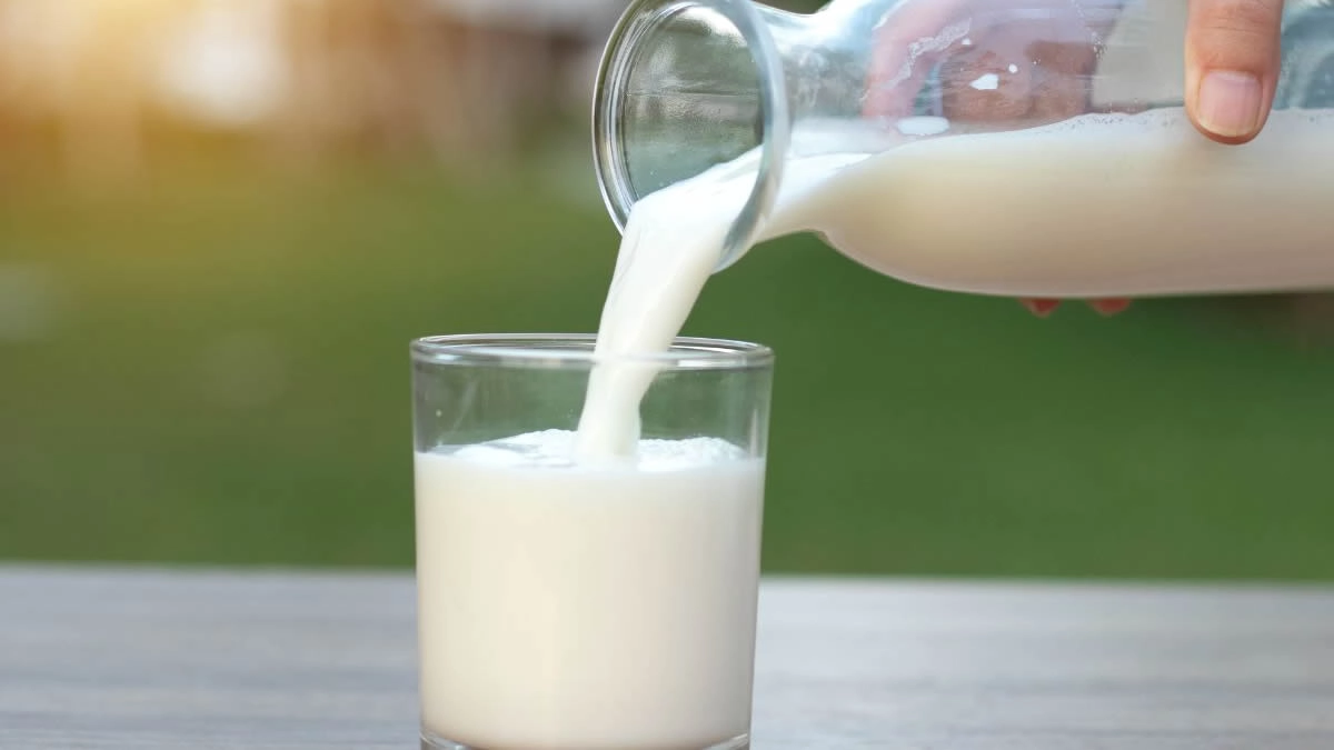 Anvisa SUSPENDE marca de leite FAMOSA: entenda o que aconteceu