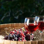 5 dicas incríveis para se iniciar no mundo dos vinhos