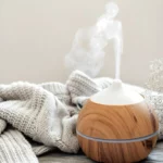 Aprenda a fazer um purificador de ar caseiro para acabar com o cheiro de lixo