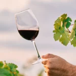 5 indícios de que seu vinho pode ser falso ou contrabandeado