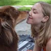 cachorro da atriz Amanda Seyfried