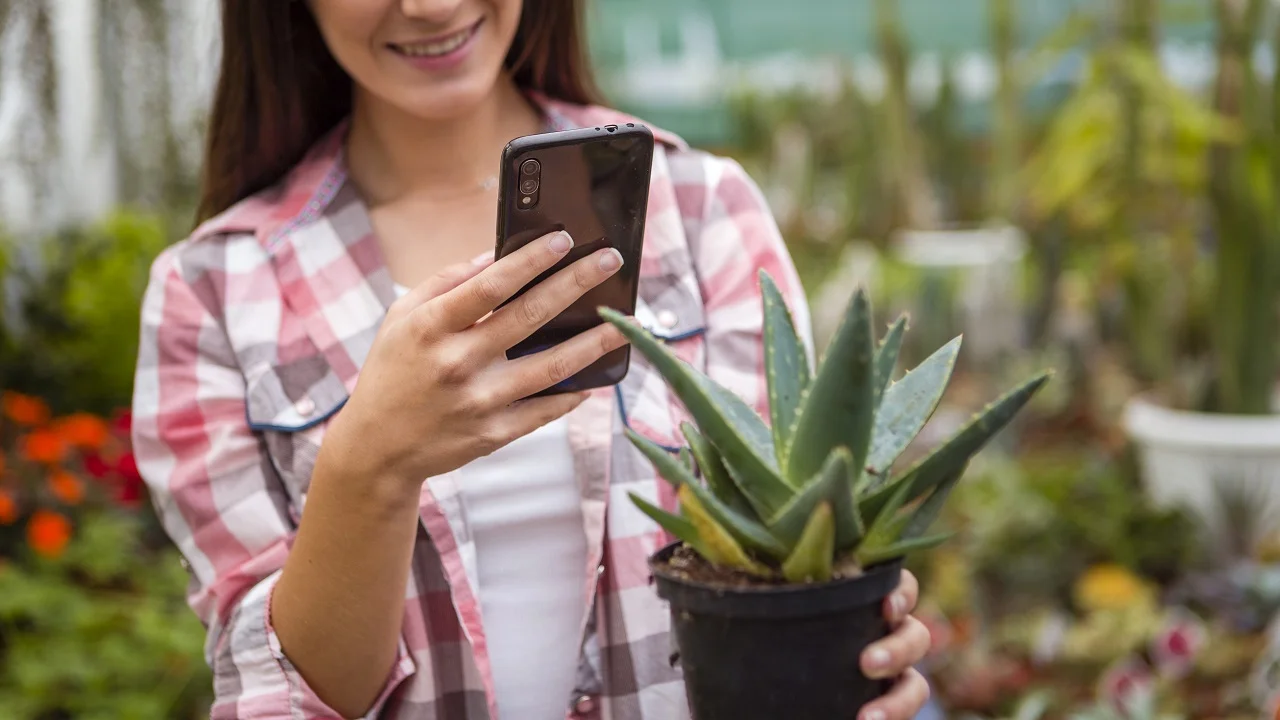 pode Identificar plantas, insetos e animais