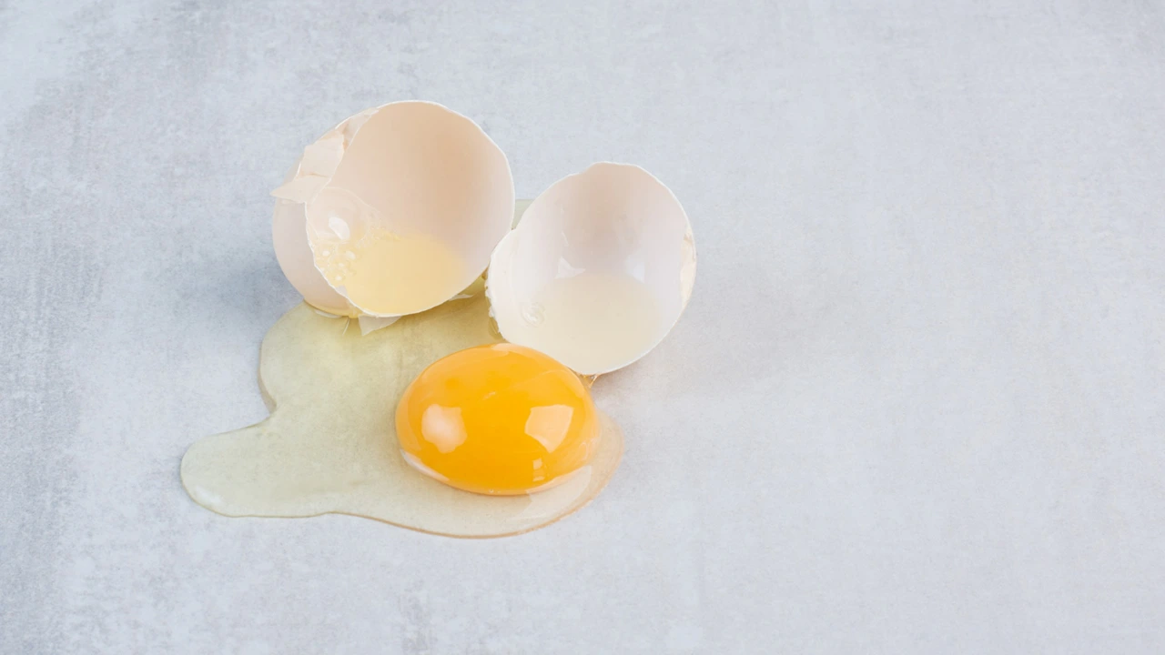 Será que você deveria comer ovo que tem uma pita vermelha na gema?