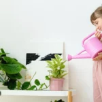 De dar inveja nos convidados! 6 plantas que eliminam o cheiro ruim do banheiro