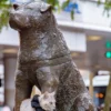 Hachiko a verdadeira história do cachorro que se tornou simbolo do Japão