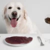Alimentos para cachorros.
