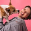 Cachorro lambendo a dona.
