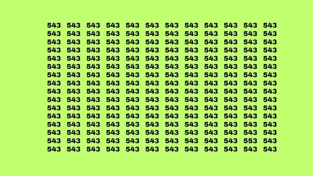 Desafio visual: será que você consegue encontrar o número 553 na imagem?