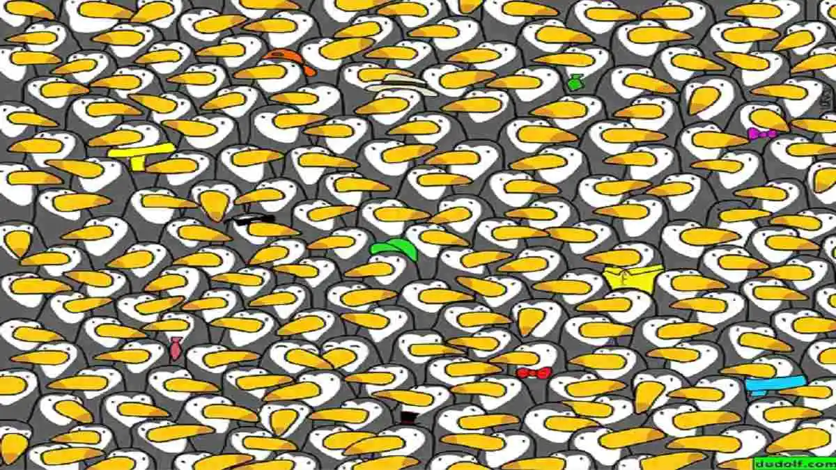 Encontre o pinguim no meio dos tucanos nesta ilusão de ótica: você consegue?