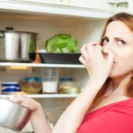 3 segredos para acabar com o mau cheiro da sua geladeira