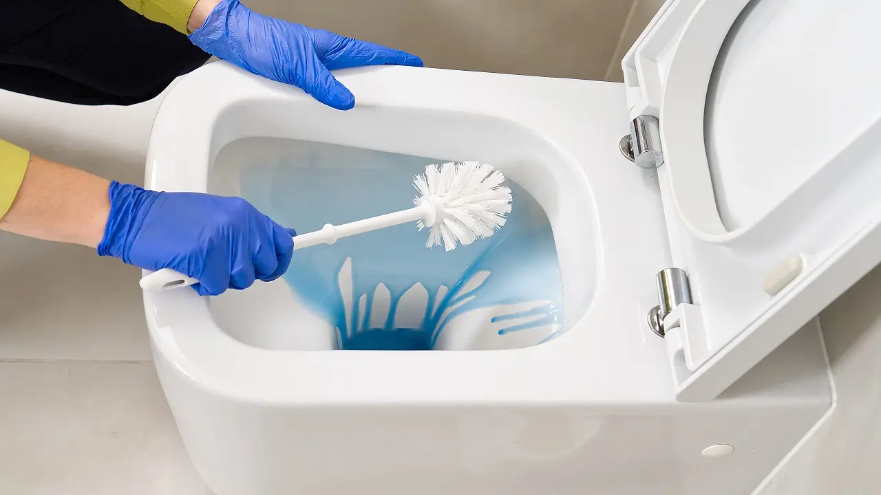 Já limpou a escova sanitária do seu banheiro? Veja como fazer de forma fácil