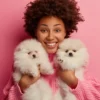 Bichon Frisé: raças de cachorros muito apegadas aos donos