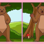 Jogo dos erros: encontre as diferenças entre os ursos na imagem