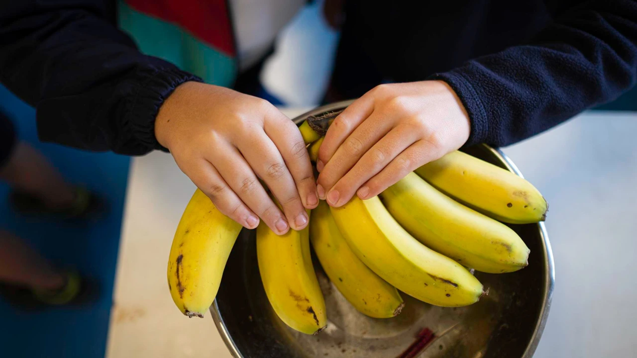 Truque para conservar as bananas por muito mais tempo