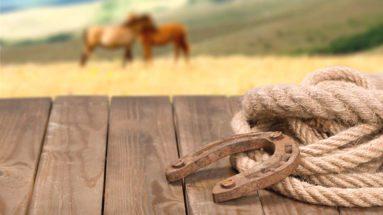 Por que os cavalos precisam usar ferradura e as vacas não?